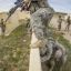 Trident Juncture exercise in Spain