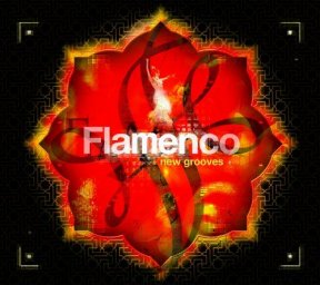 Flamenco New Grooves (2005)