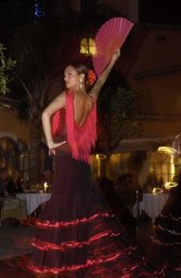 Flamenco and gypsy